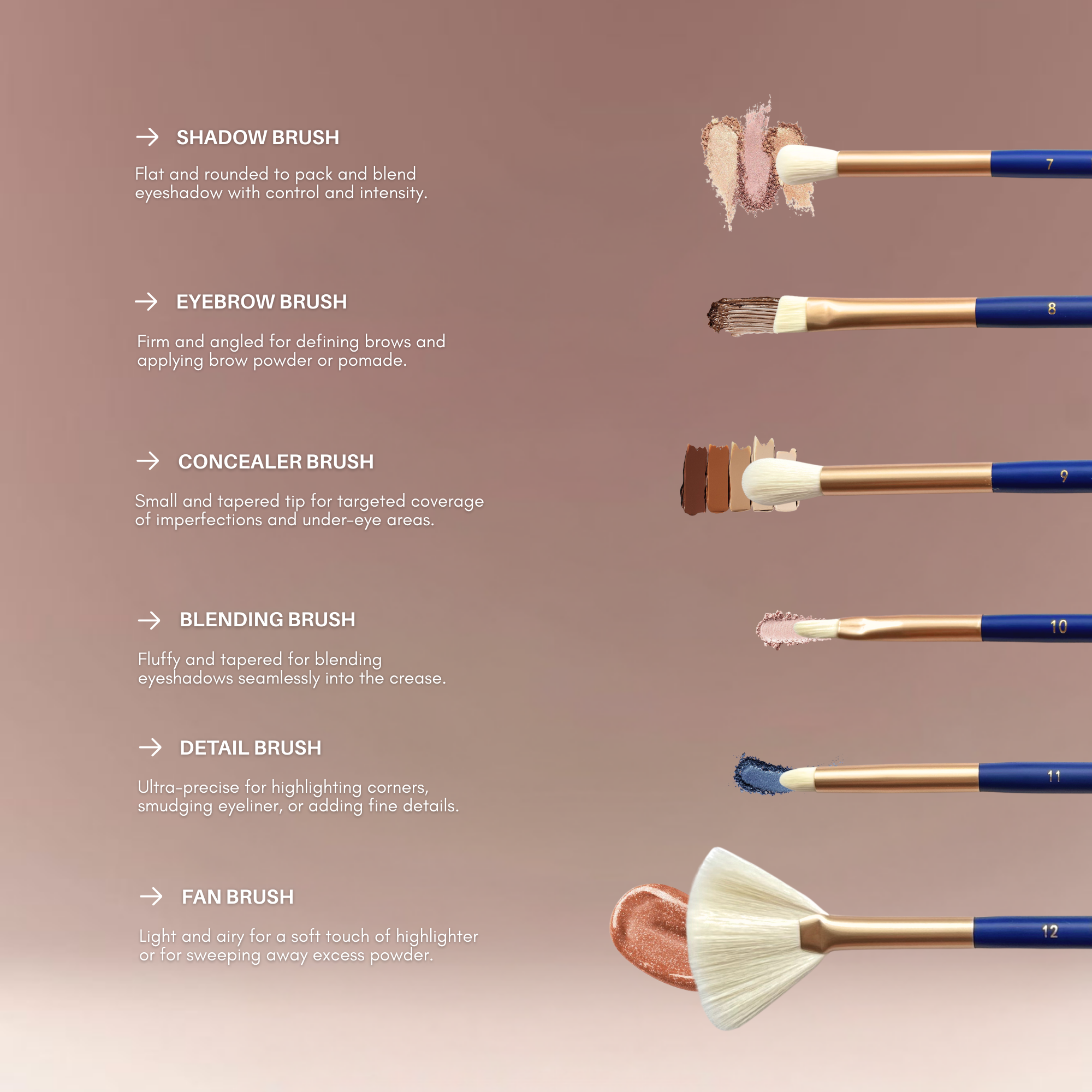 Makeup Brush Set (12-Piece) – Ultra-Soft Vegan Synthetic Brushes | BERRY Blue